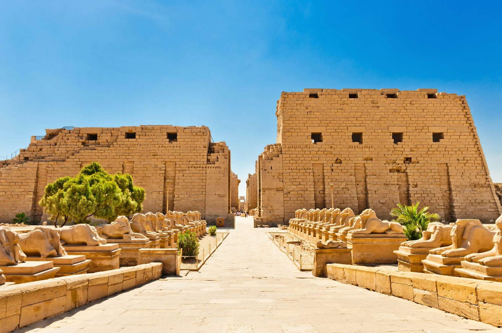 Small Group Tour - Valley of the Kings and Hatshepsut Temple