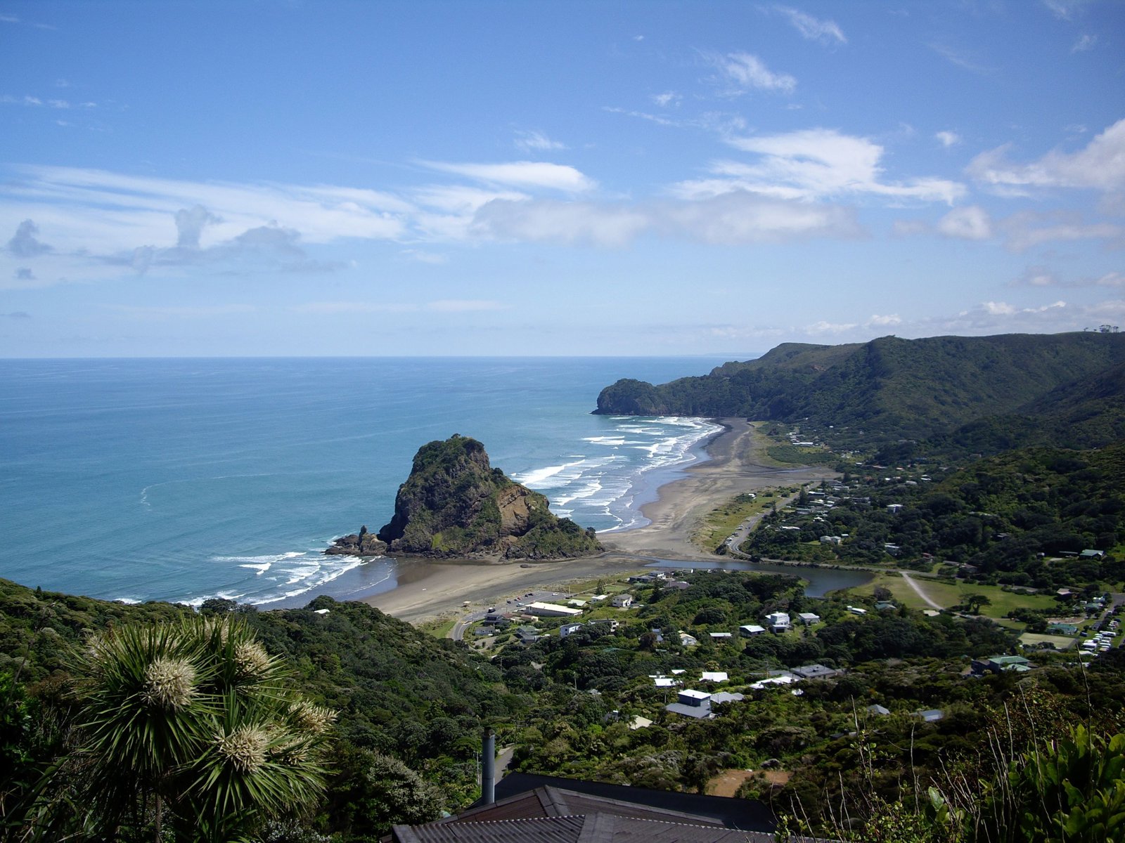 Private West Coast Discovery and Wine and Dine in Kumeu Wine Country