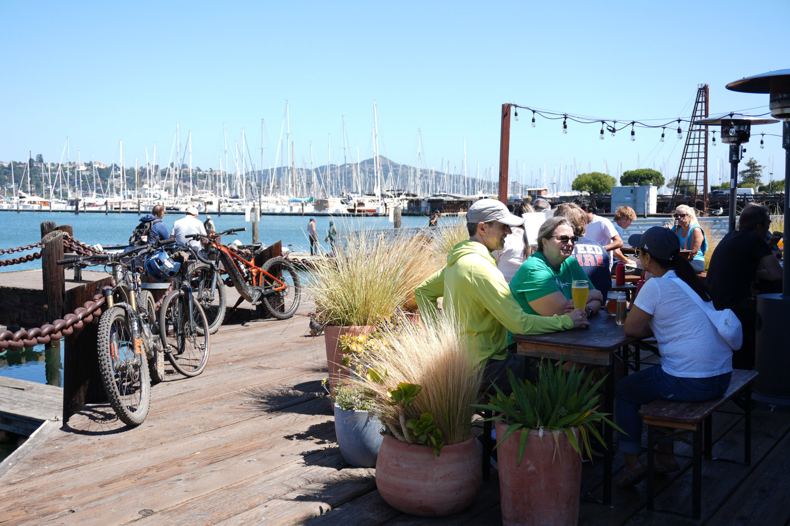 San Francisco Famous Tour with Muir Woods – City Landmarks and Coastal Redwoods