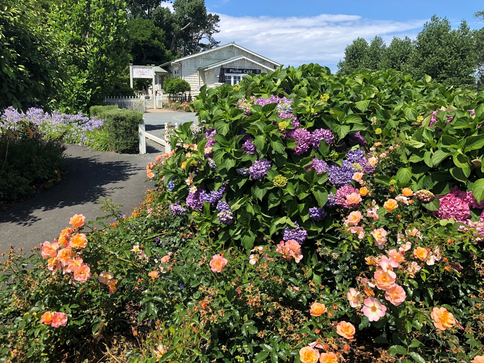 Private Sightseeing Beyond Auckland: Matakana Country and Cuisine