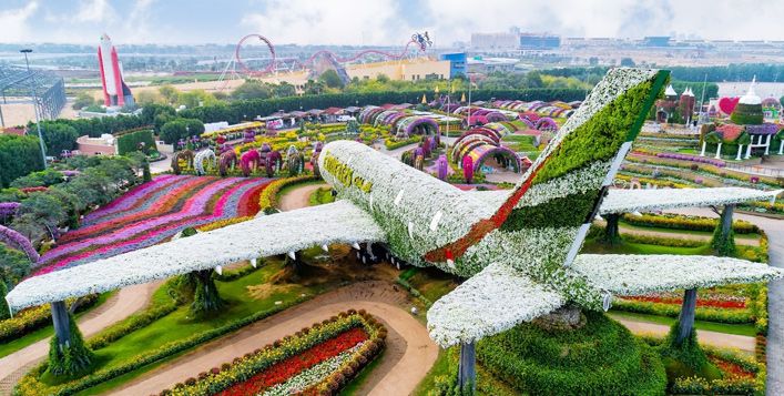 Private Dubai Miracle Garden Scenic Experience