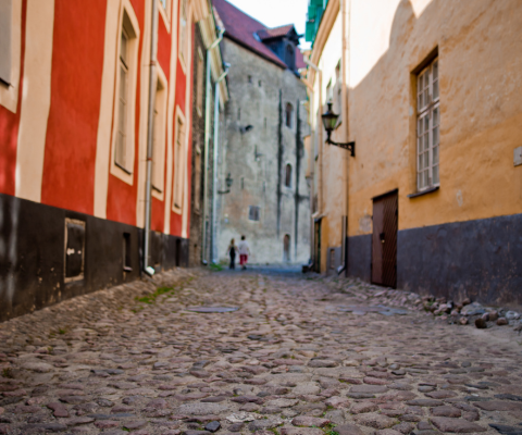Private Luxury Tour of Tallinn With Lunch 