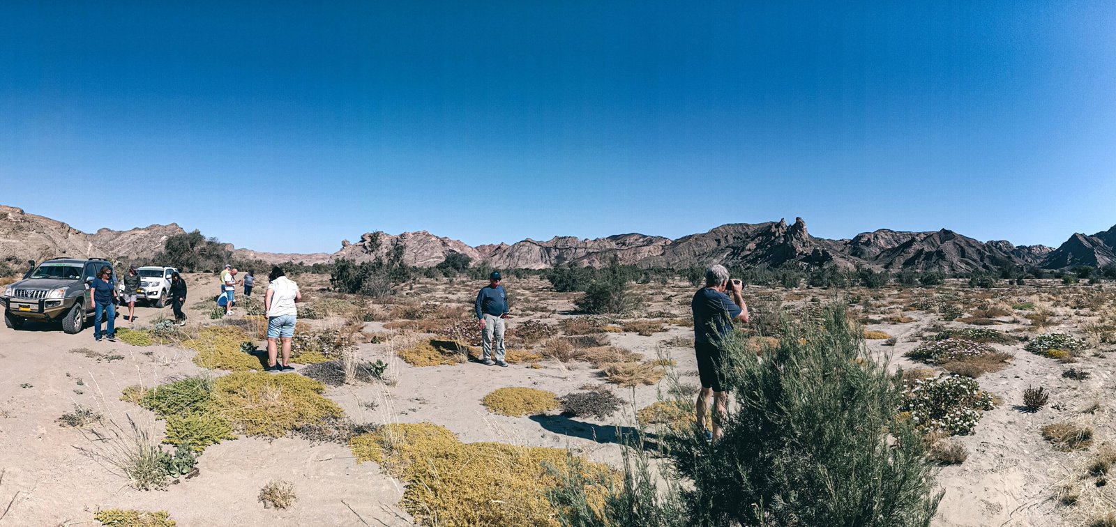 Swakopmund Desert Discovery: Dunes, Moonlandscape and Living Fossils