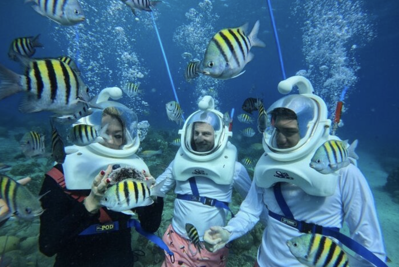 Walk Beneath the Waves