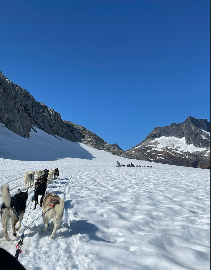 Helicopter and Dog Sled Tour