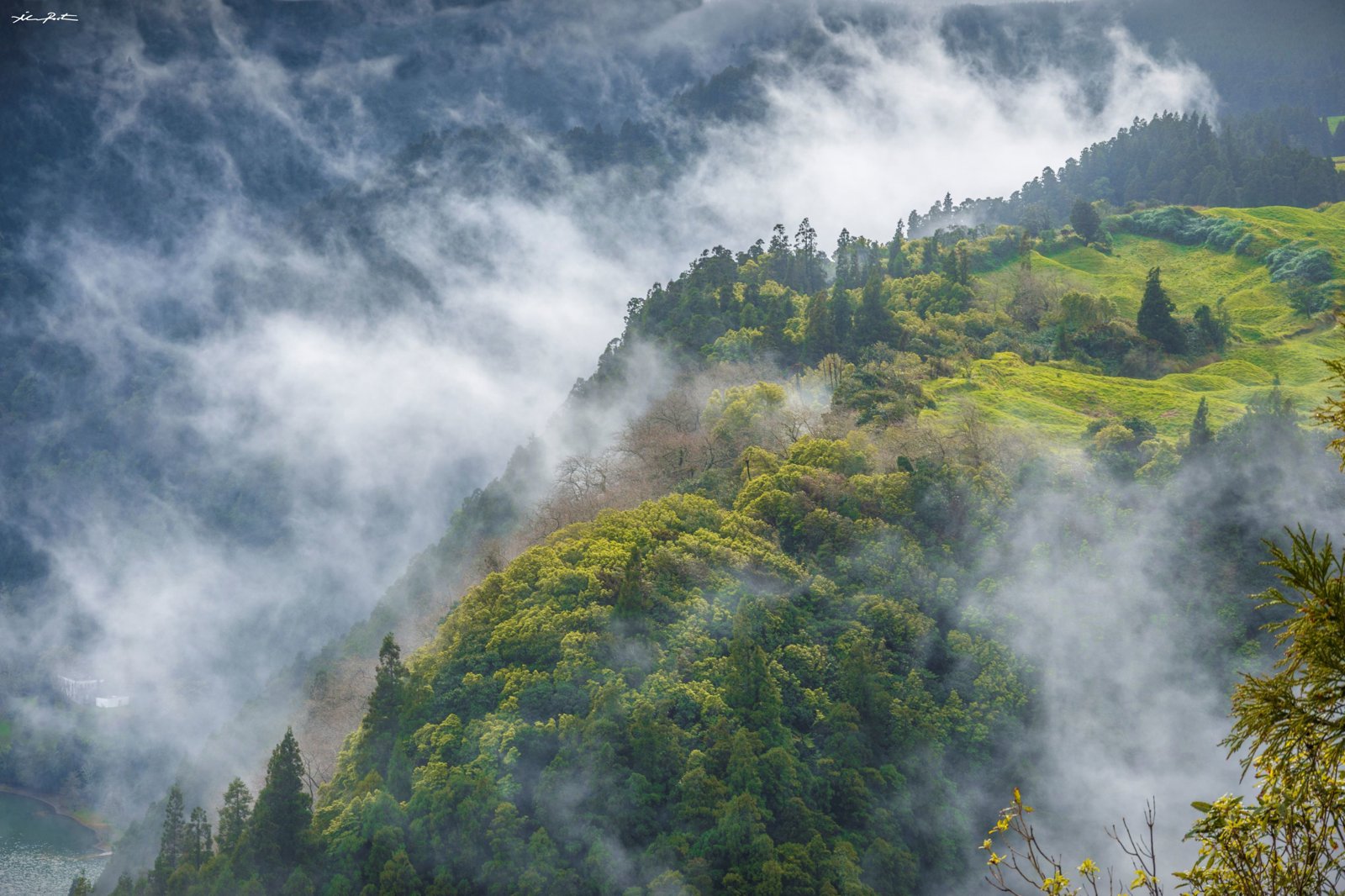 Full Day: Guided Furnas Valley Tour