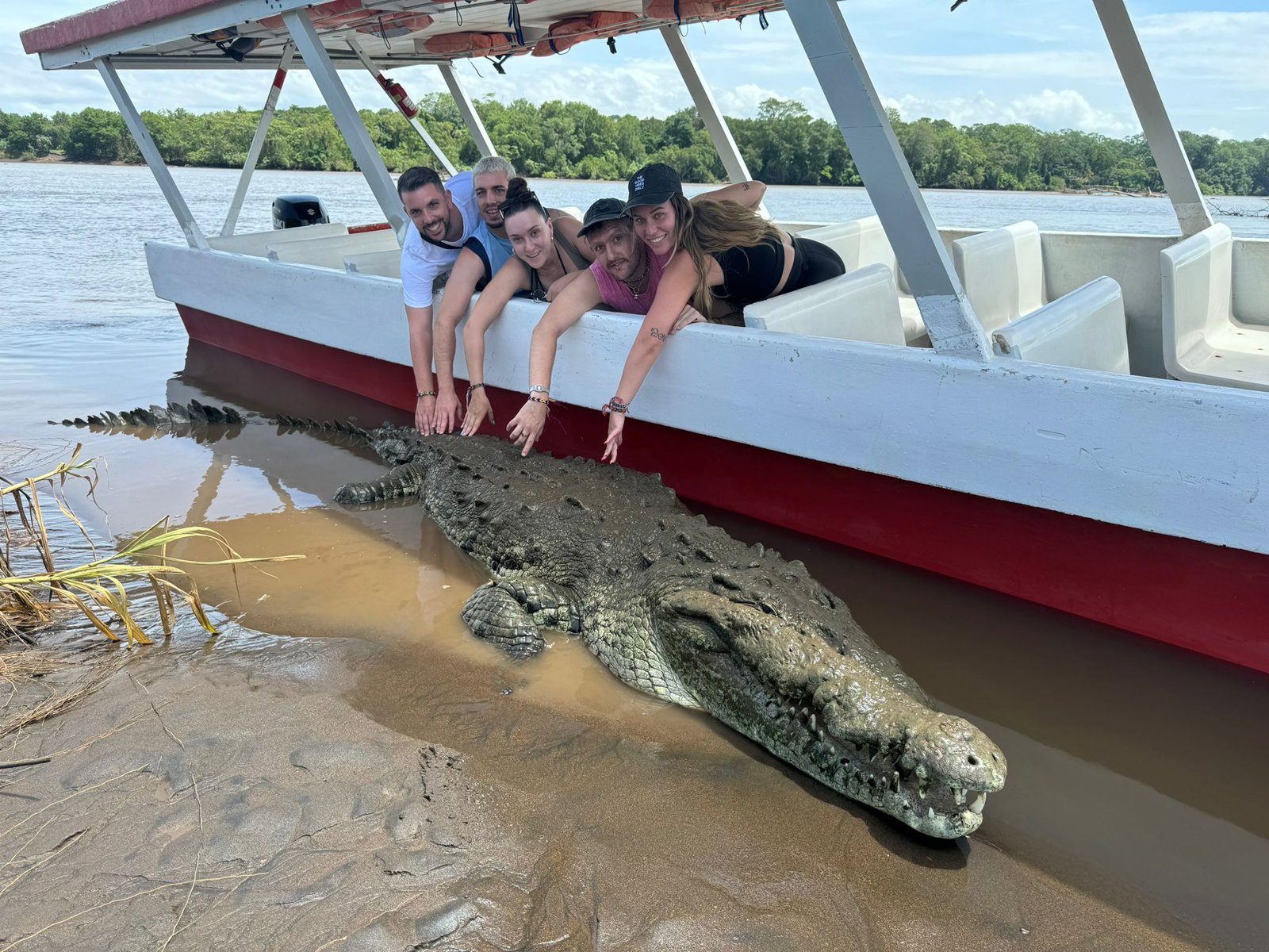 River of Crocs: Mangrove Eco-Adventure