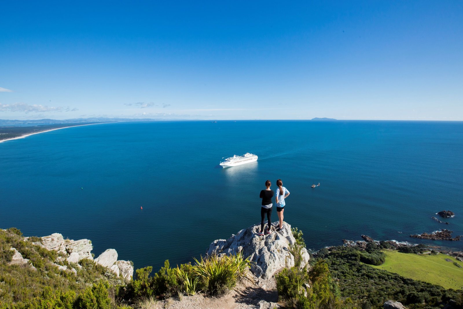 Tauranga in a Snapshot: Culture, Coastlines and Kiwifruit