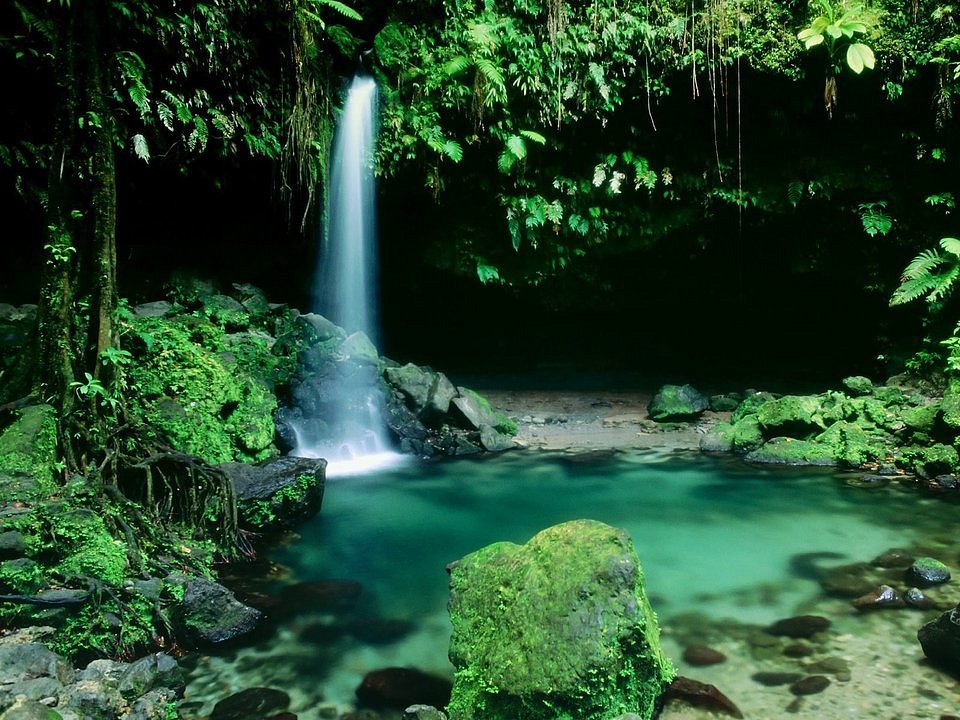 Waterfalls, Rainforest and Lakes: A Journey Through Dominica’s Natural Heart