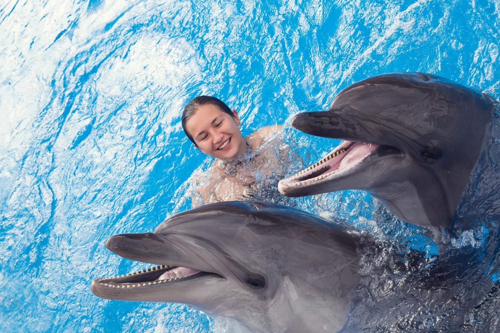 Dolphin Swim Adventure in Montego Bay