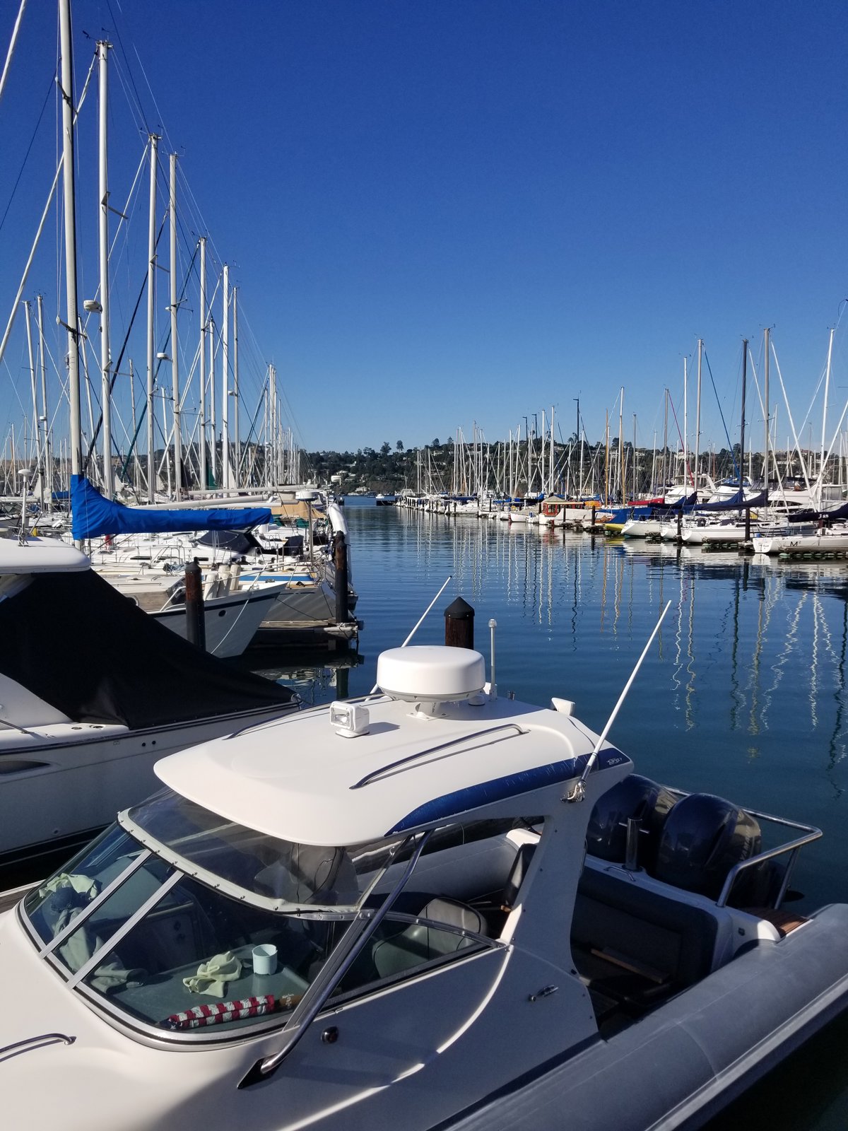 Discovering Muir Woods and Sausalito Tour