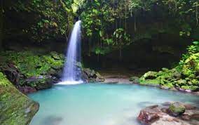 Dominica’s Natural Wonders: Emerald Pool and Trafalgar Falls Tour