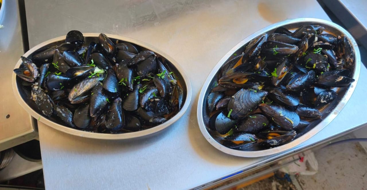 Kotor Bay Speedboat Adventure and Mussel Tasting Experience