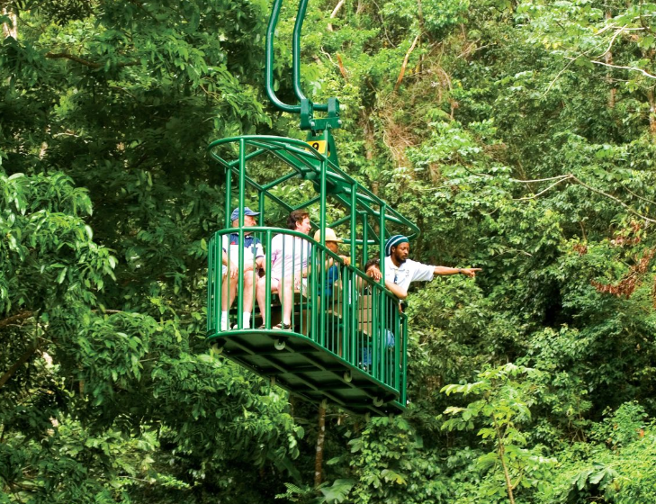 Rainforest Aerial Tram Tour