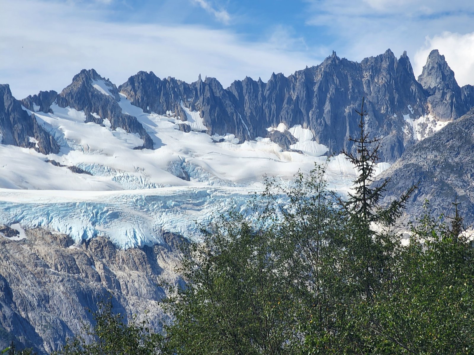 Yukon Wilderness and Suspension Bridge Tour