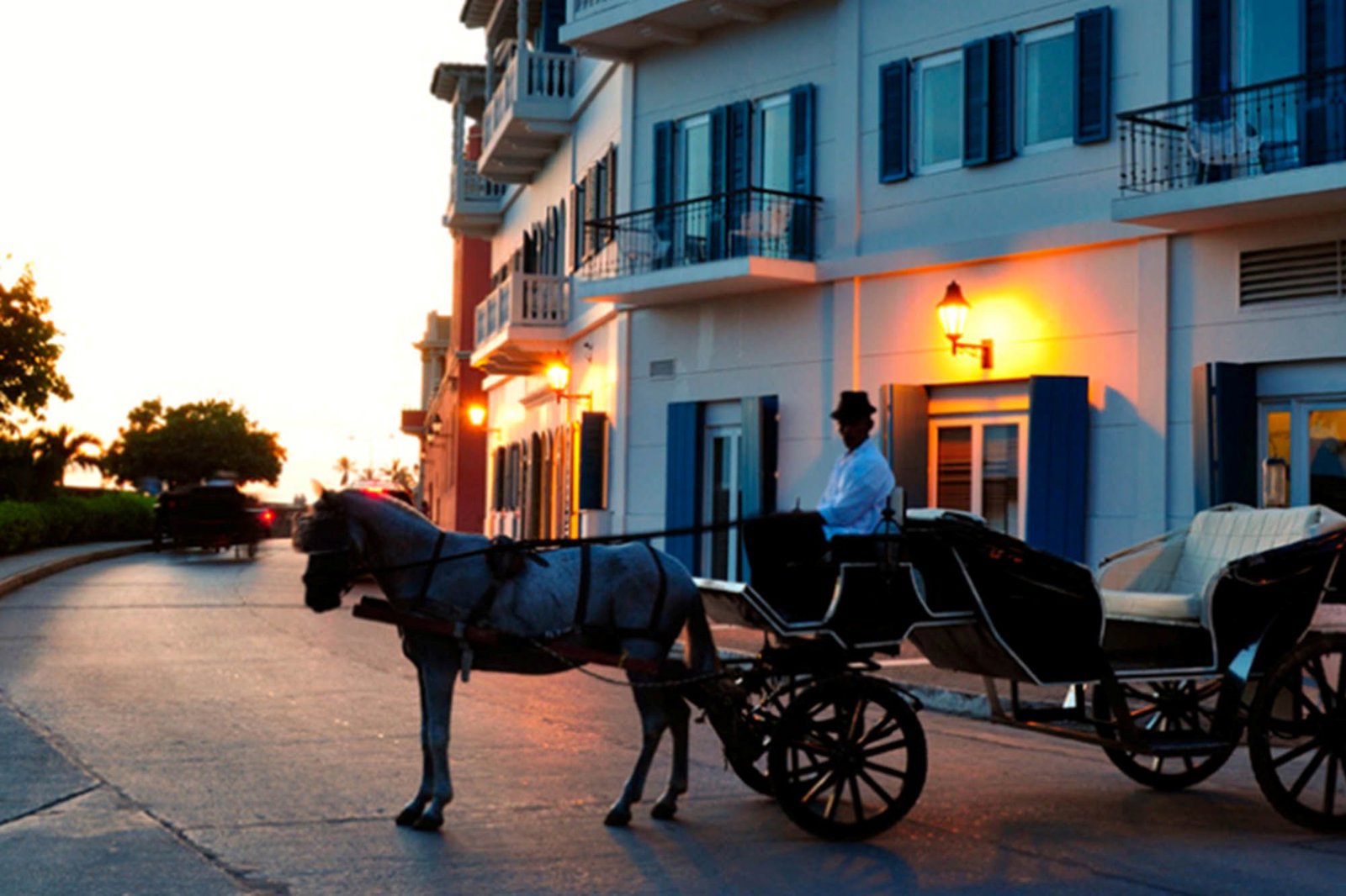 Private Horse-Drawn Carriage Cartagena Tour - Hotel Guests