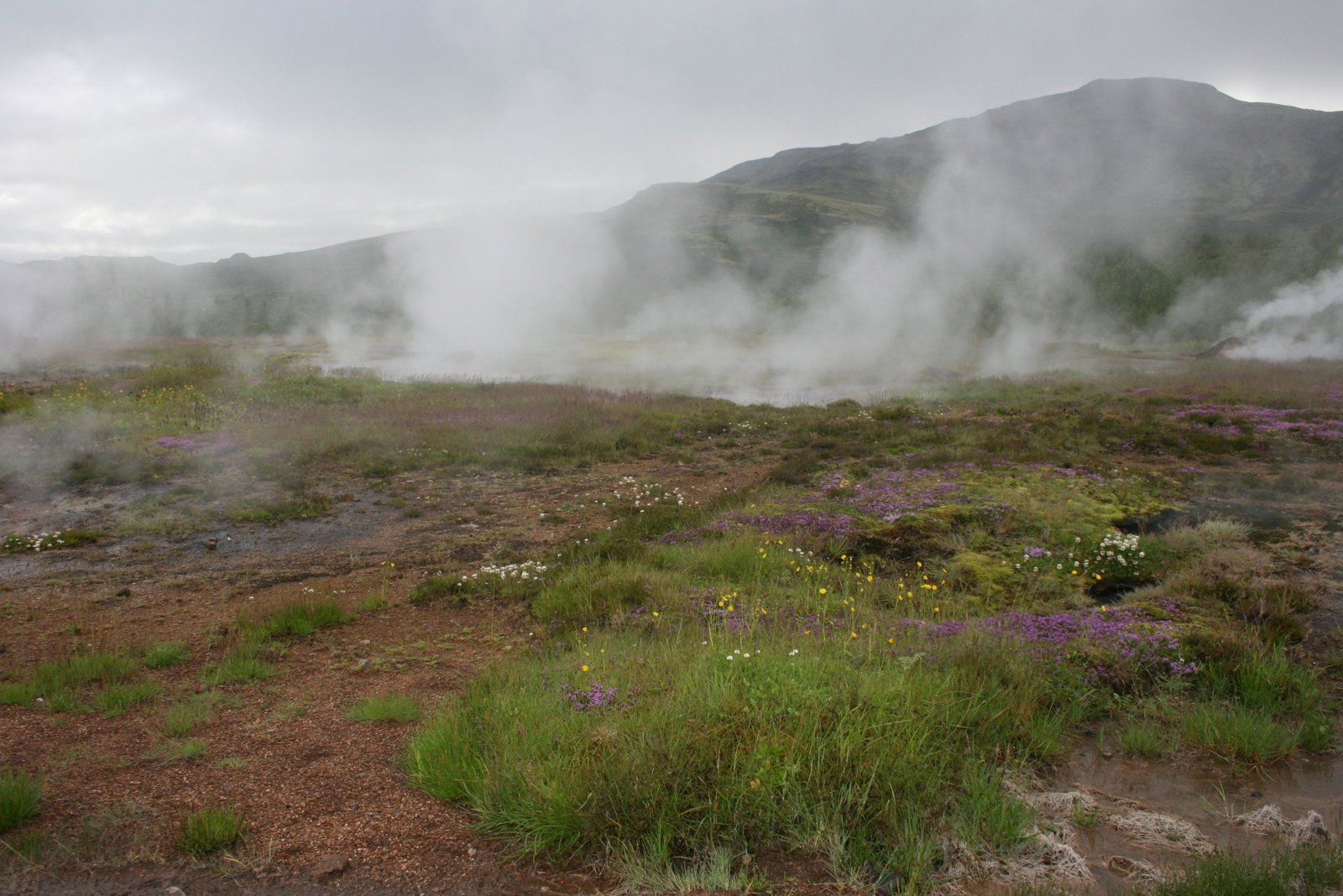 Reykjanes Peninsula: Volcanoes, Geothermal Wonders and Coastal Legends