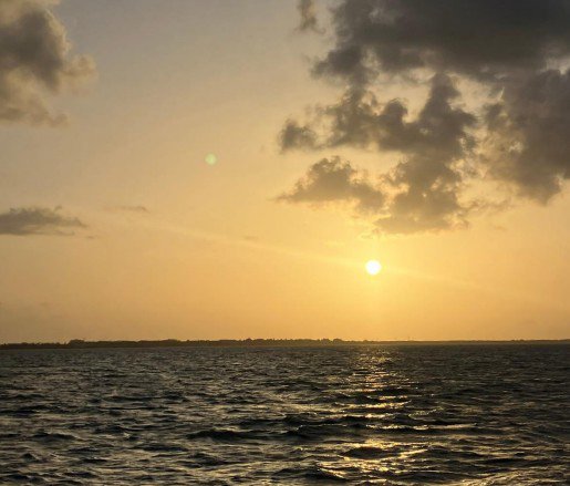 Stingrays and Sunset Catamaran Sail