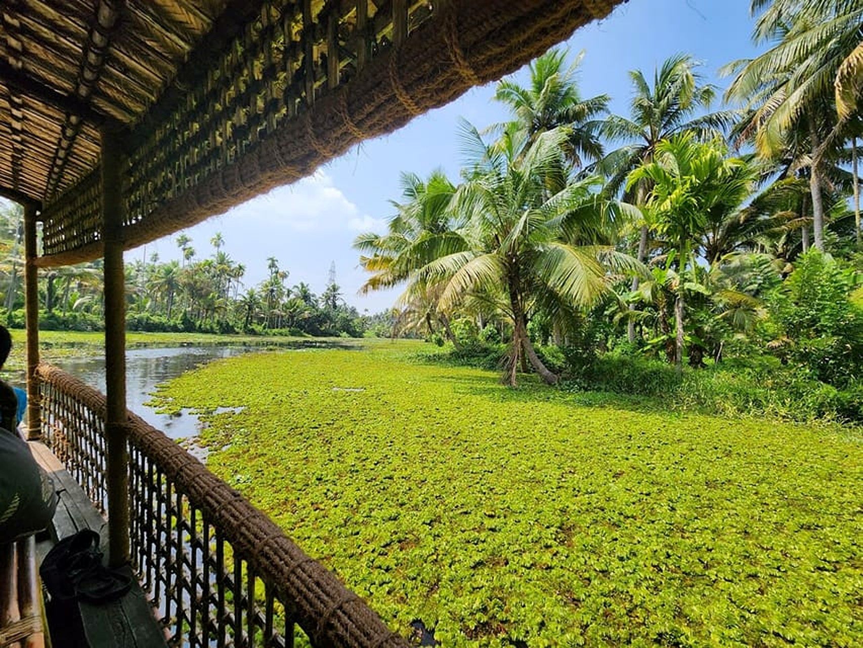 Kerala Backwaters and Village Life Experience