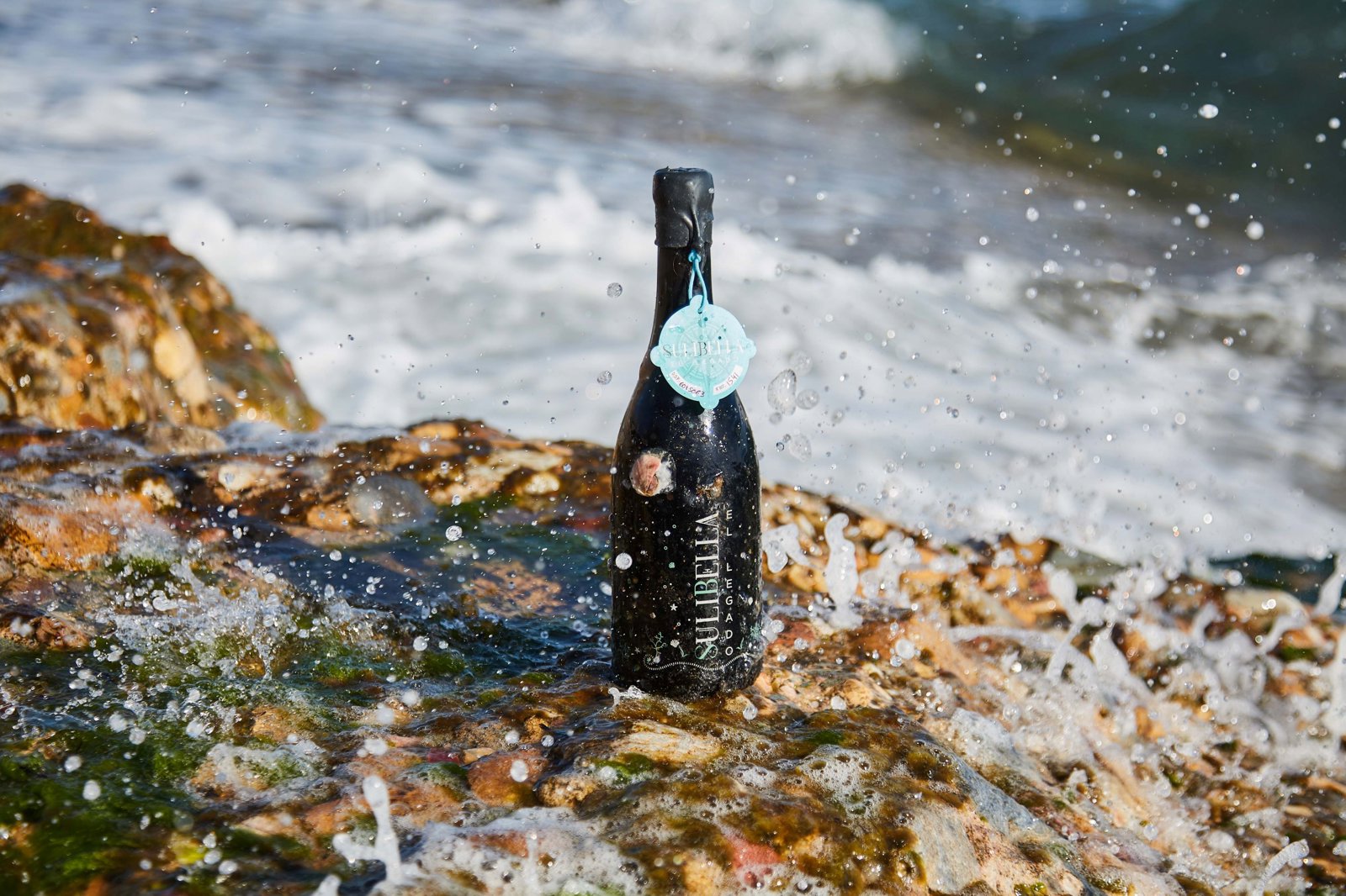 Private Underwater Winery Experience: Where Wine Meets the Sea