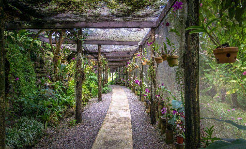 Vuda Orchids and Coastal Delights: A Cultural and Scenic Escape in Lautoka