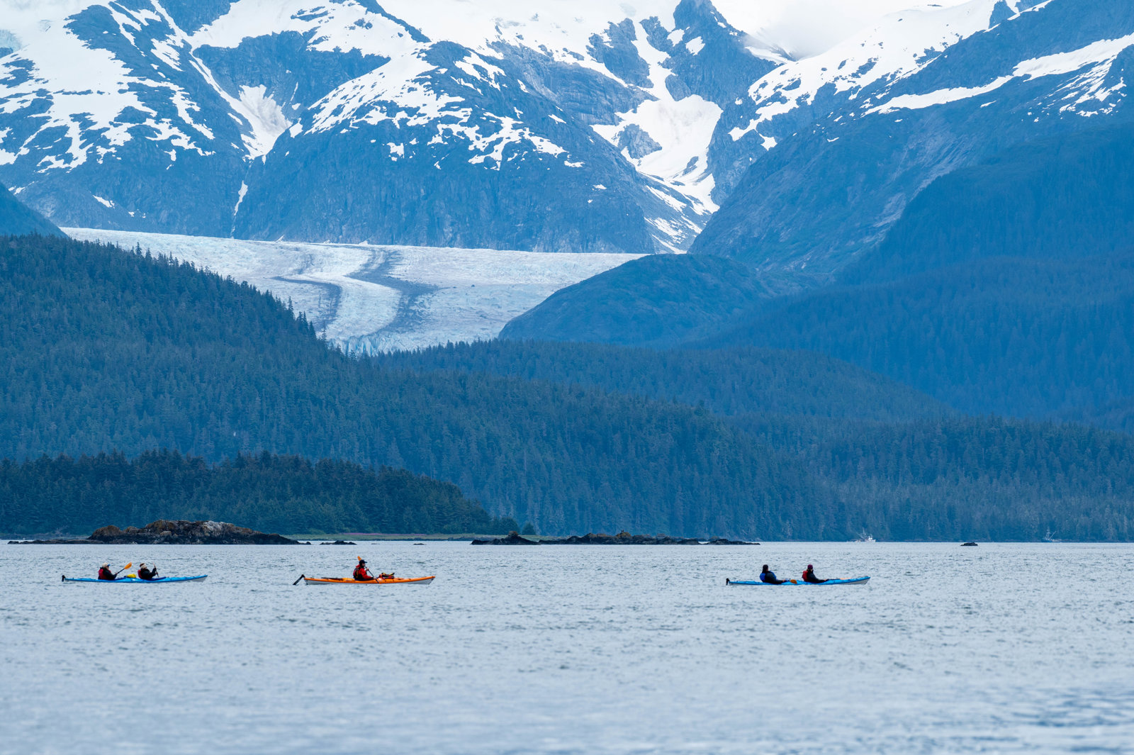 Kayaking and Humpback Whales Viewing